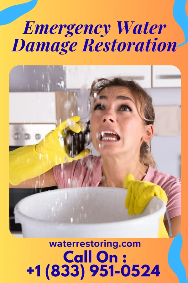 Emergency Water Damage Restoration in Baidland, PA