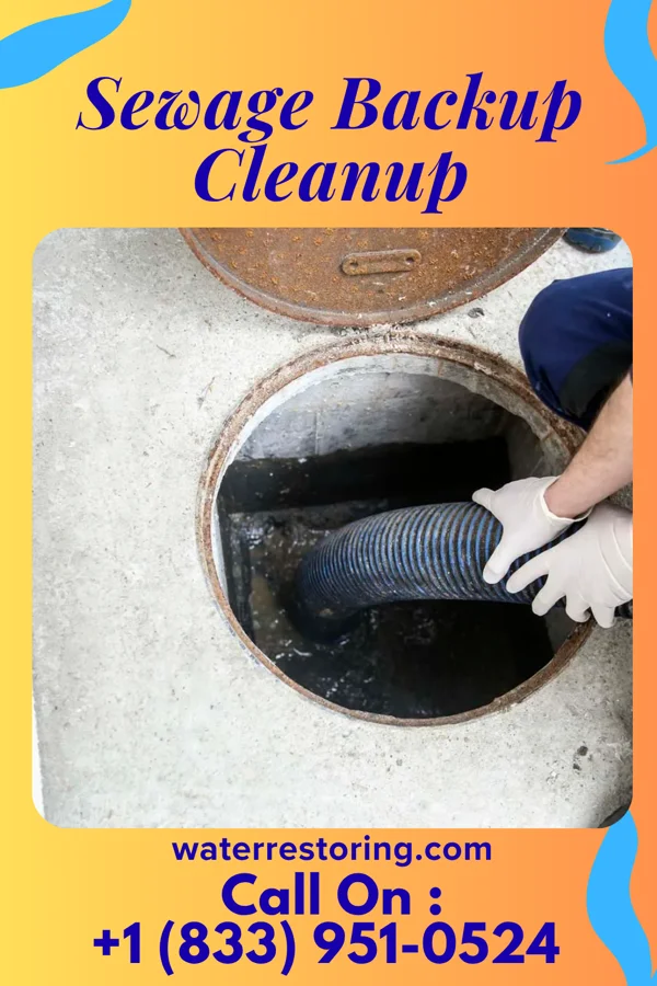 Sewage Backup Cleanup in Baidland, PA
